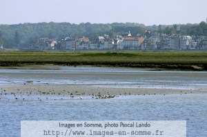 vue-sur-la-baie-de-somme